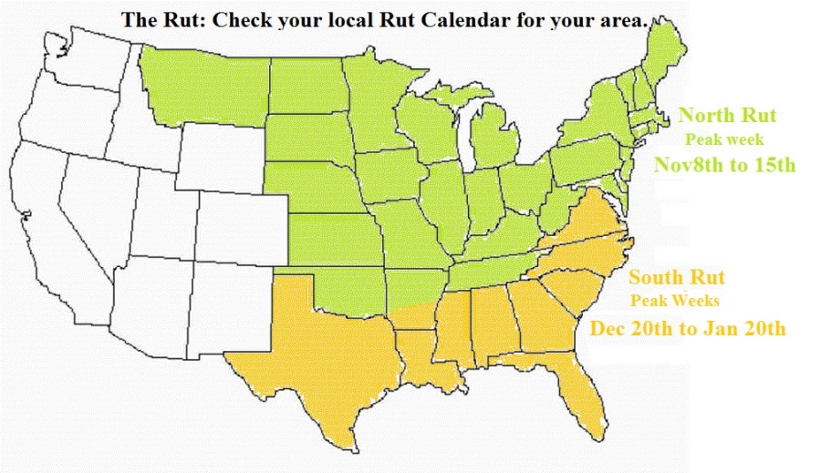 Why is the Rut easier to predict in the North than in the South